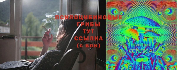 прущая мука Арсеньев
