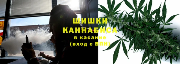 прущая мука Арсеньев