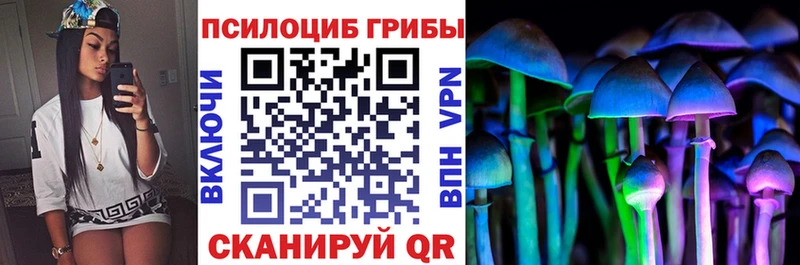 Купить  Михайлов  Галлюциногенные грибы мицелий 